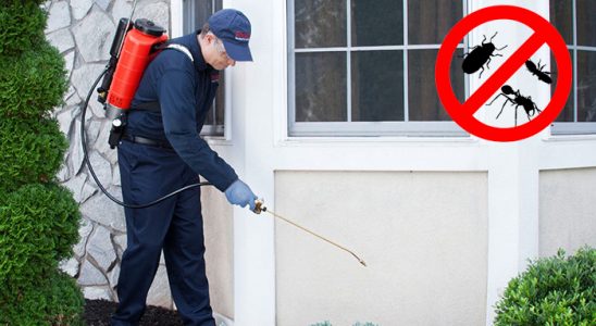 Hekimhan Dezenfeksiyon böcek ilaçlama ve haşere kontrolü — ilaclama-tr.com